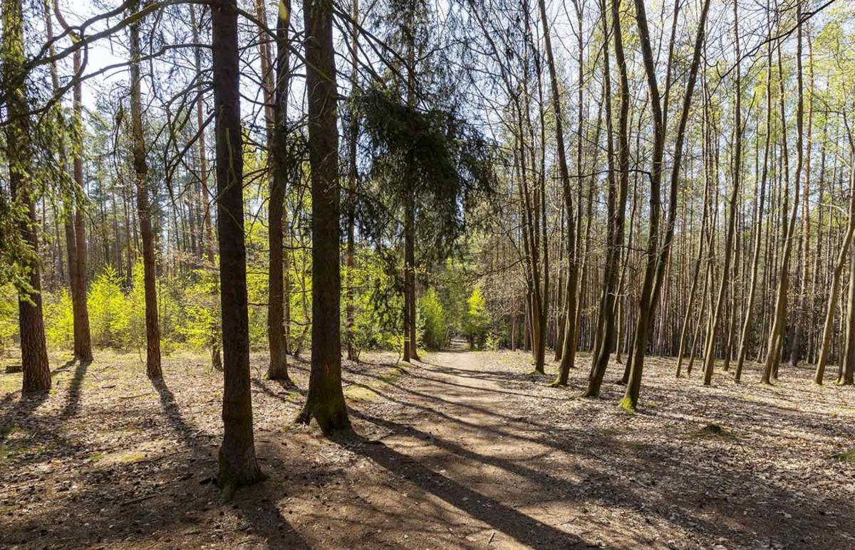 Nové Jirny Laskara Garden Apartment By Prague Forest מראה חיצוני תמונה